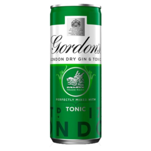 Gordon's London Dry Gin & Tonic 12 x 250ml